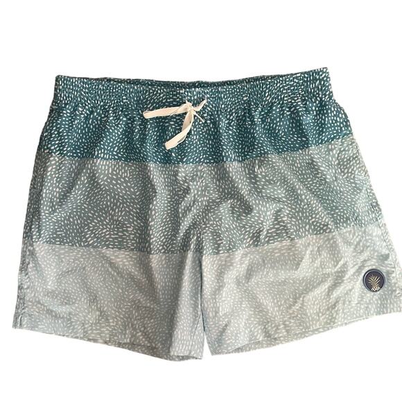 Chubbies The Whale Shark Classic Swim Trunks 5.5” XXL - Picture 2 of 11
